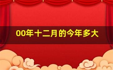 00年十二月的今年多大