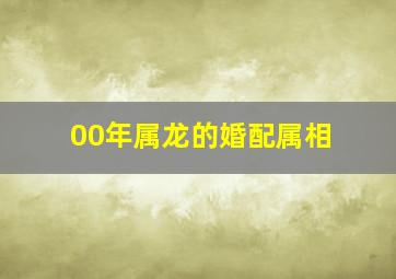 00年属龙的婚配属相