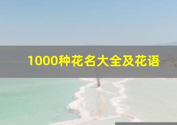 1000种花名大全及花语