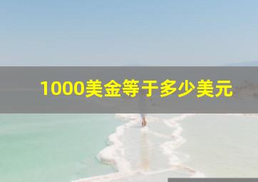 1000美金等于多少美元