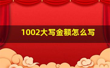 1002大写金额怎么写