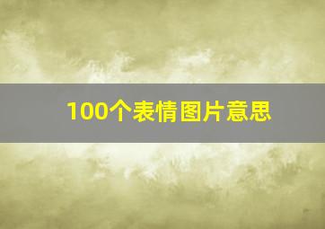 100个表情图片意思