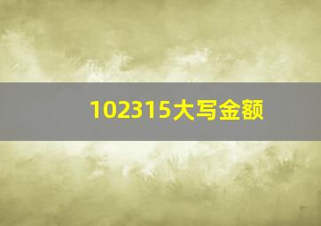 102315大写金额