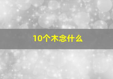 10个木念什么