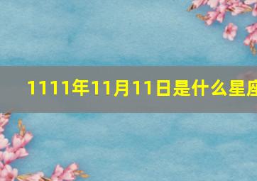 1111年11月11日是什么星座