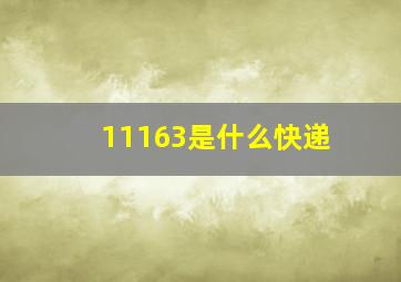 11163是什么快递