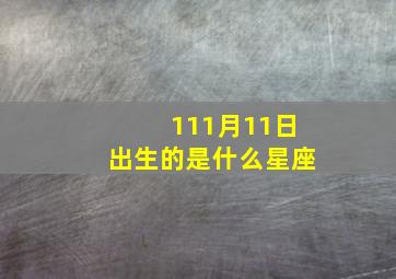 111月11日出生的是什么星座