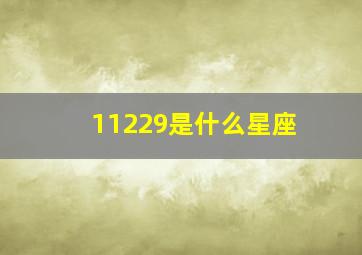 11229是什么星座