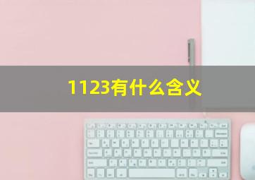 1123有什么含义