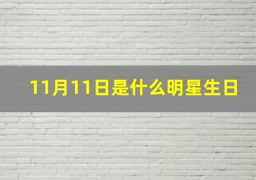 11月11日是什么明星生日