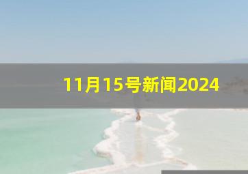 11月15号新闻2024