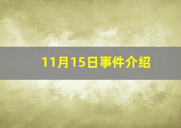 11月15日事件介绍