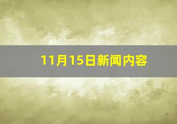 11月15日新闻内容