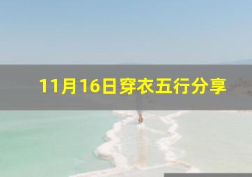 11月16日穿衣五行分享