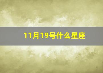 11月19号什么星座