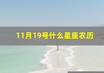 11月19号什么星座农历