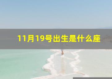 11月19号出生是什么座