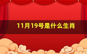 11月19号是什么生肖