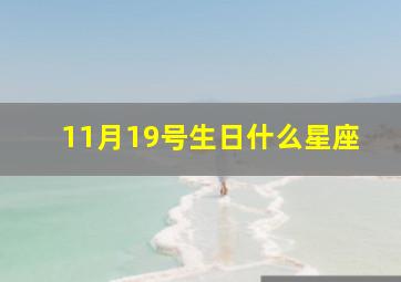 11月19号生日什么星座