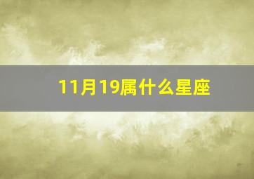 11月19属什么星座