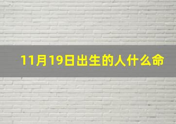 11月19日出生的人什么命