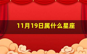 11月19日属什么星座