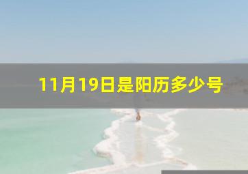 11月19日是阳历多少号