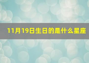 11月19日生日的是什么星座