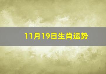 11月19日生肖运势