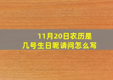 11月20日农历是几号生日呢请问怎么写