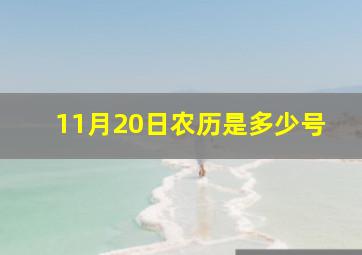 11月20日农历是多少号