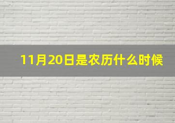 11月20日是农历什么时候