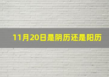 11月20日是阴历还是阳历