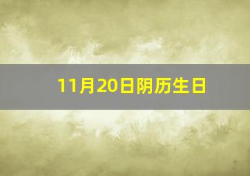 11月20日阴历生日