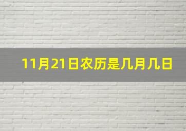 11月21日农历是几月几日