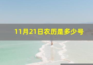 11月21日农历是多少号