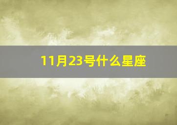 11月23号什么星座