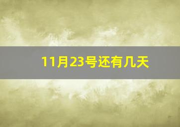 11月23号还有几天