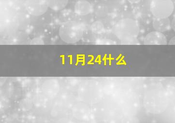 11月24什么