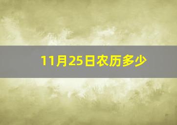 11月25日农历多少