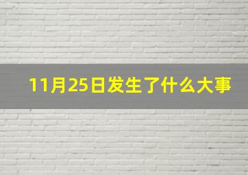 11月25日发生了什么大事