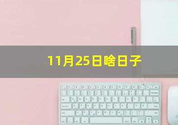 11月25日啥日子