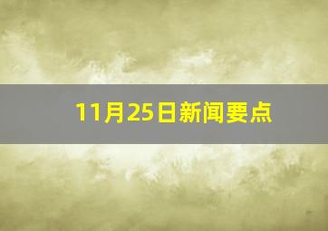 11月25日新闻要点