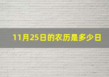 11月25日的农历是多少日