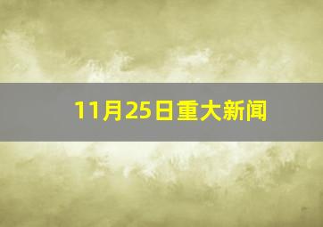 11月25日重大新闻