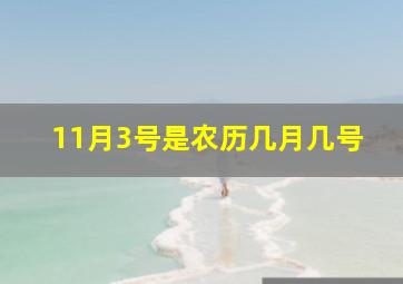 11月3号是农历几月几号