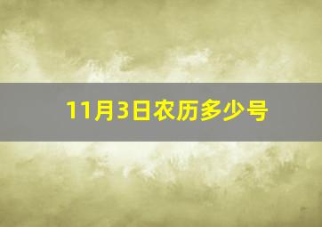 11月3日农历多少号