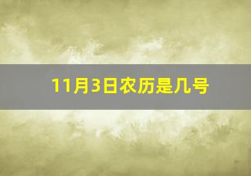 11月3日农历是几号