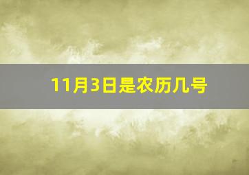 11月3日是农历几号