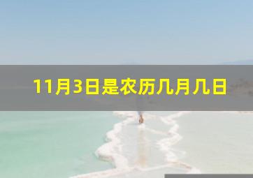 11月3日是农历几月几日